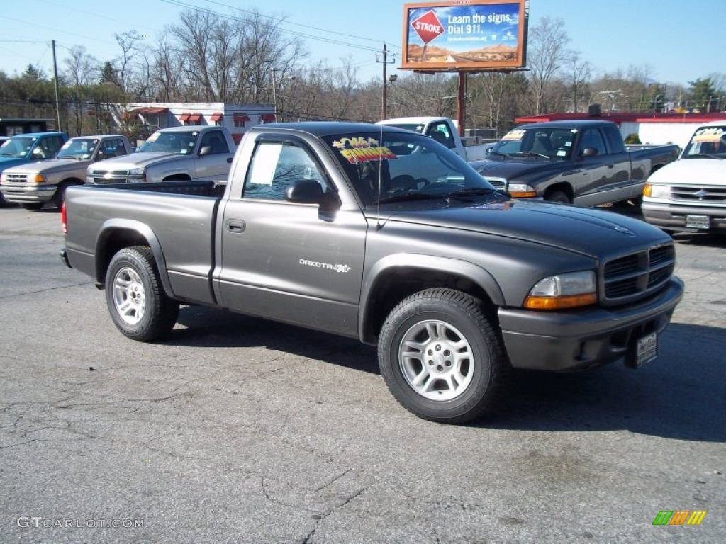 Graphite Metallic 2002 Dodge Dakota SXT Regular Cab Exterior Photo #79241899