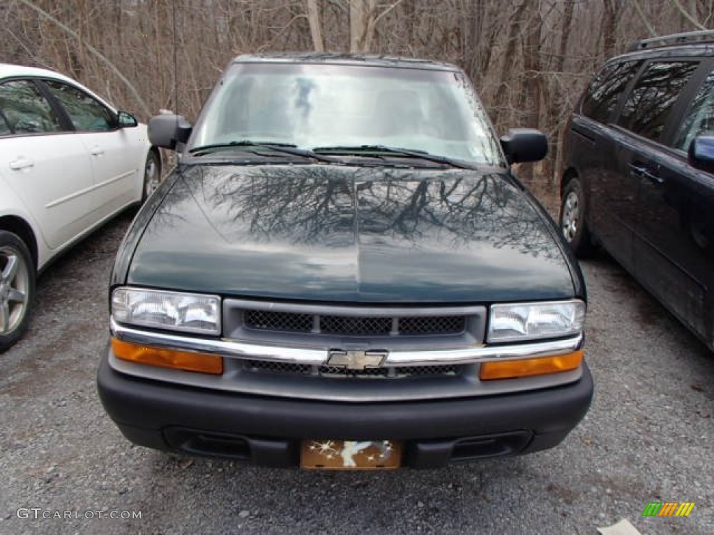 2002 S10 LS Regular Cab - Forest Green Metallic / Graphite photo #2