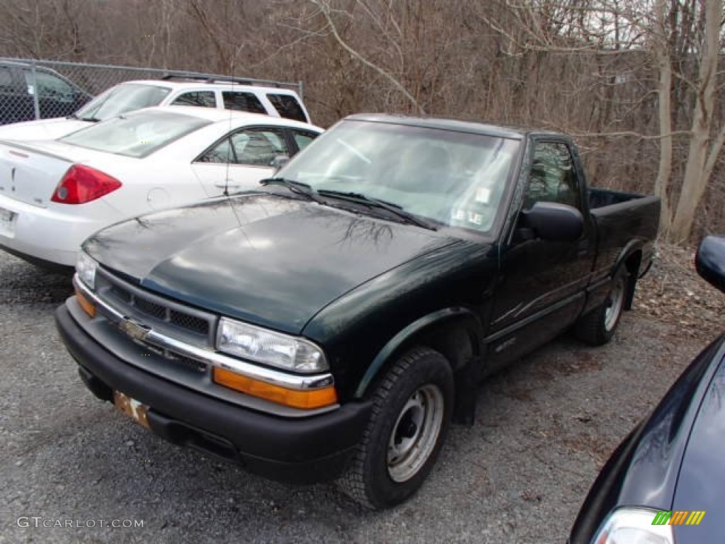 2002 S10 LS Regular Cab - Forest Green Metallic / Graphite photo #3