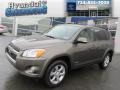 2010 Pyrite Metallic Toyota RAV4 Limited 4WD  photo #1