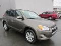Pyrite Metallic 2010 Toyota RAV4 Limited 4WD Exterior