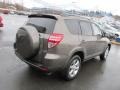 2010 Pyrite Metallic Toyota RAV4 Limited 4WD  photo #8