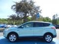 2013 Frosted Glass Metallic Ford Escape SE 2.0L EcoBoost  photo #2