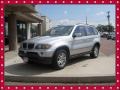 Titanium Silver Metallic - X5 3.0i Photo No. 16