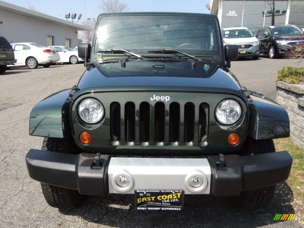 2011 Wrangler Sahara 4x4 - Natural Green Pearl / Black/Dark Saddle photo #2