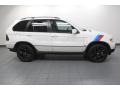 Alpine White - X5 3.0i Photo No. 7