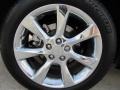 2010 Lexus RX 350 Wheel and Tire Photo