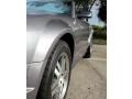 2006 Tungsten Grey Metallic Ford Mustang GT Premium Convertible  photo #18