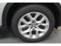 2013 Titanium Silver Metallic BMW X5 xDrive 35i Premium  photo #7