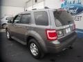 2009 Sterling Grey Metallic Ford Escape Limited V6  photo #9