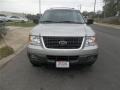 Silver Birch Metallic 2004 Ford Expedition XLT