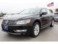 2013 Black Volkswagen Passat 2.5L SEL  photo #3