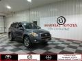 Magnetic Gray Metallic - RAV4 Sport Photo No. 1