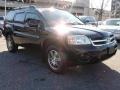 Kalapana Black - Endeavor SE AWD Photo No. 4