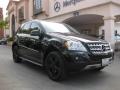 Black - ML 350 Photo No. 1