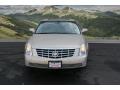 2007 Gold Mist Cadillac DTS Sedan  photo #7