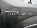 2013 Sterling Gray Metallic Ford F150 Platinum SuperCrew 4x4  photo #12