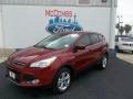 2013 Ruby Red Metallic Ford Escape SE 1.6L EcoBoost  photo #2