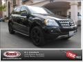 Black - ML 350 Photo No. 23