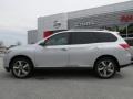 Brilliant Silver - Pathfinder Platinum Photo No. 2