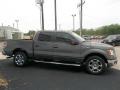 Sterling Gray Metallic - F150 XLT SuperCrew Photo No. 15