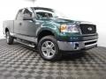 Forest Green Metallic 2007 Ford F150 Gallery