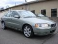 Willow Green Metallic - S60 2.5T AWD Photo No. 6