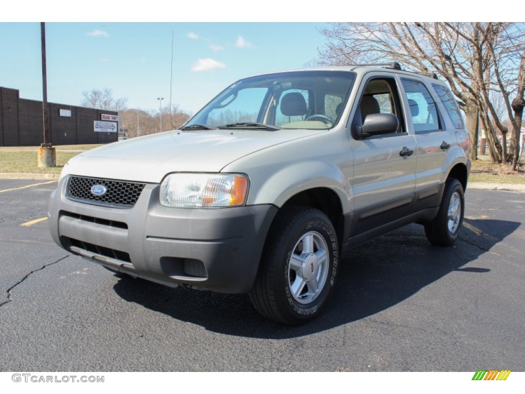 Gold Ash Metallic Ford Escape