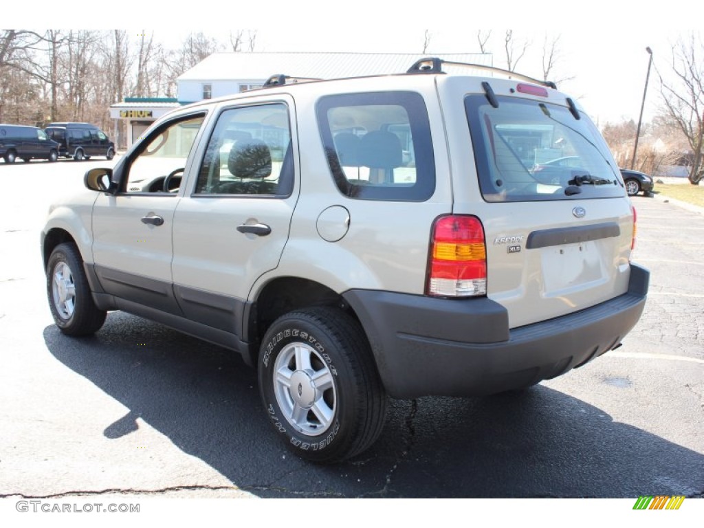 2003 Escape XLS V6 - Gold Ash Metallic / Medium Dark Pebble photo #4