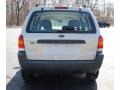 2003 Gold Ash Metallic Ford Escape XLS V6  photo #5