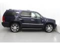 Blue Chip - Escalade  Photo No. 2