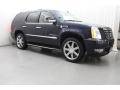 Blue Chip - Escalade  Photo No. 3