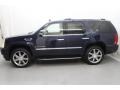 Blue Chip - Escalade  Photo No. 4
