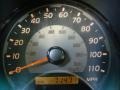 2004 Galactic Gray Mica Toyota 4Runner SR5 4x4  photo #10