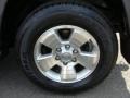2004 Galactic Gray Mica Toyota 4Runner SR5 4x4  photo #14