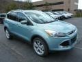 2013 Frosted Glass Metallic Ford Escape Titanium 2.0L EcoBoost 4WD  photo #1
