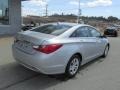Radiant Silver - Sonata GLS Photo No. 9