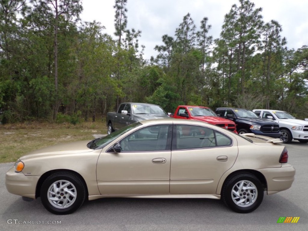 Champagne Beige Metallic 2004 Pontiac Grand Am SE Sedan Exterior Photo #79309602