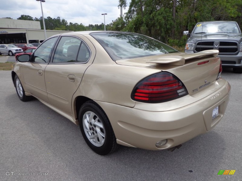 2004 Grand Am SE Sedan - Champagne Beige Metallic / Dark Taupe photo #3