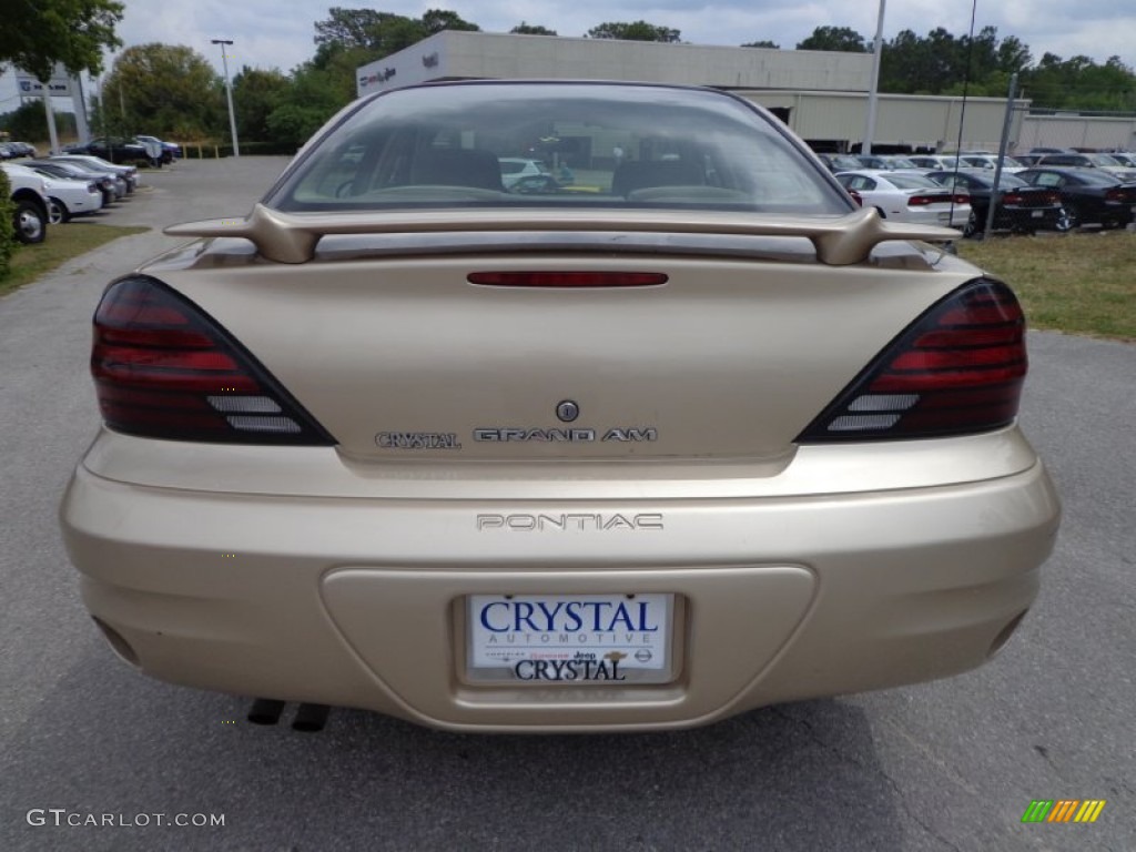 2004 Grand Am SE Sedan - Champagne Beige Metallic / Dark Taupe photo #7