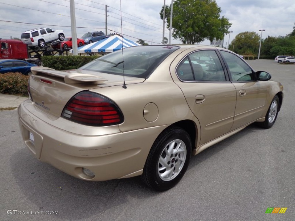 2004 Grand Am SE Sedan - Champagne Beige Metallic / Dark Taupe photo #8