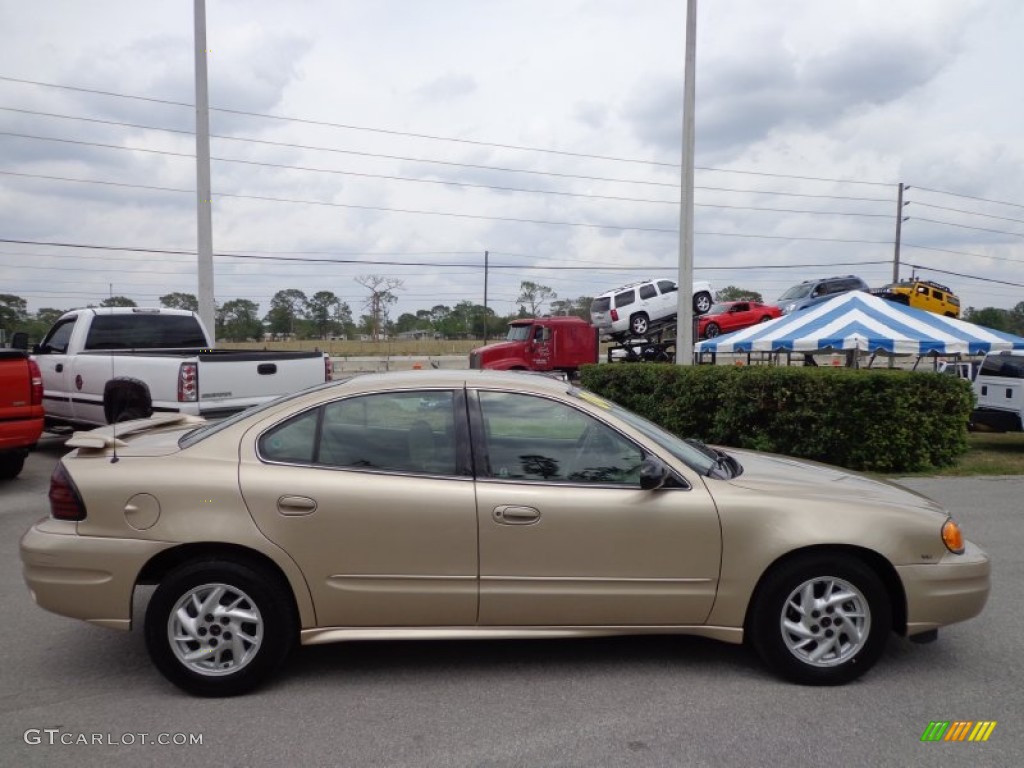 2004 Grand Am SE Sedan - Champagne Beige Metallic / Dark Taupe photo #9