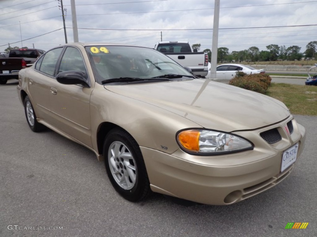 2004 Grand Am SE Sedan - Champagne Beige Metallic / Dark Taupe photo #10