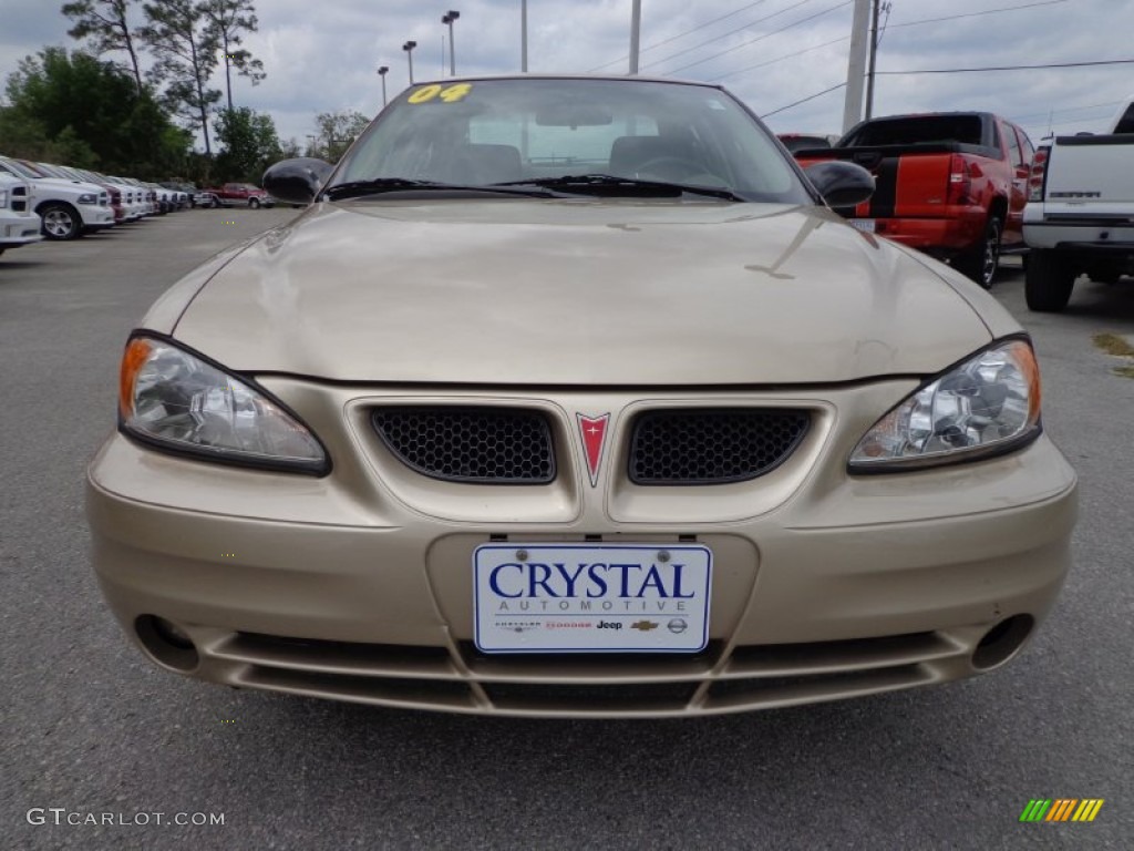 2004 Grand Am SE Sedan - Champagne Beige Metallic / Dark Taupe photo #13