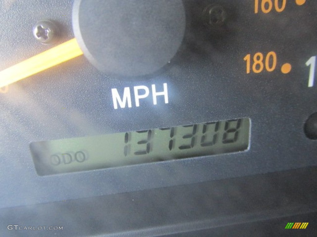 2002 Tundra SR5 TRD Access Cab 4x4 - Desert Sand / Oak photo #20