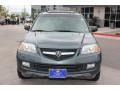 Sage Brush Pearl - MDX Touring Photo No. 2