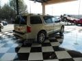 Serengeti Sand - QX 56 Photo No. 6