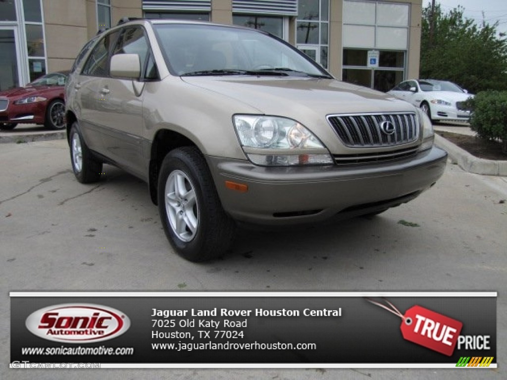 2003 RX 300 - Burnished Gold Metallic / Ivory photo #1