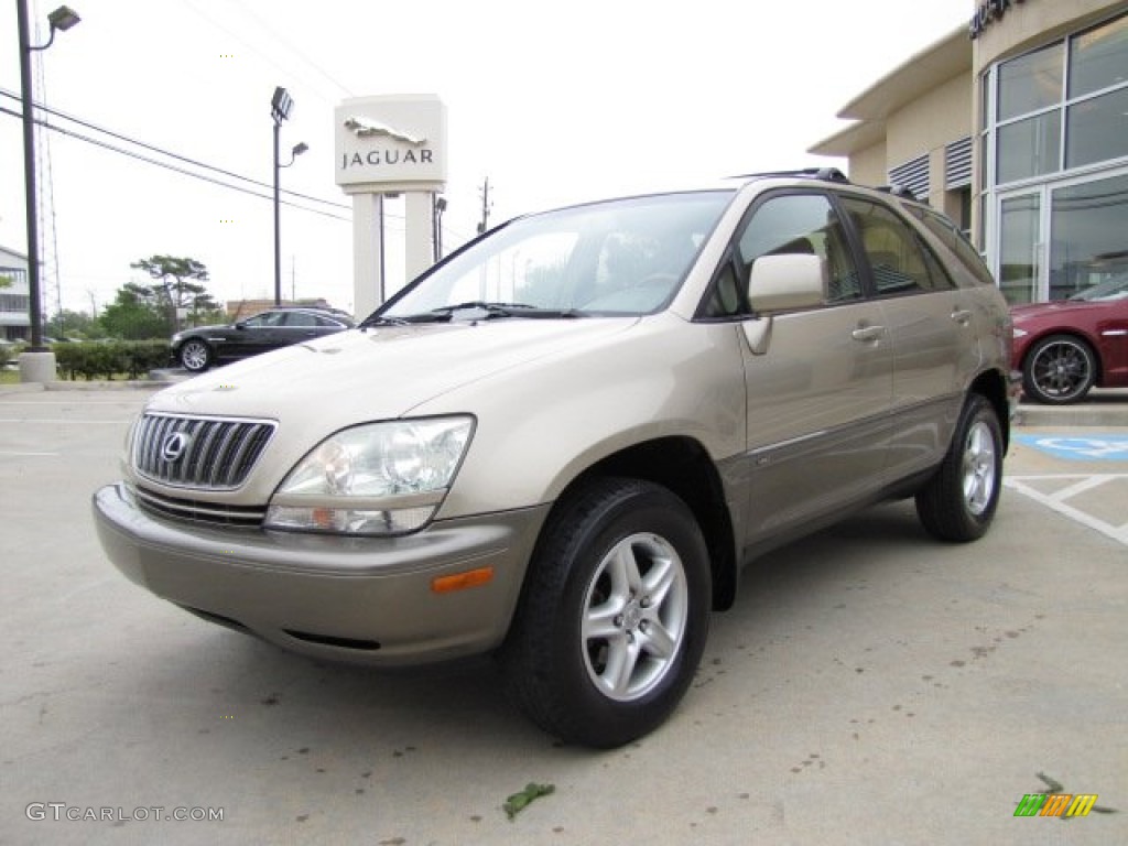 2003 RX 300 - Burnished Gold Metallic / Ivory photo #5