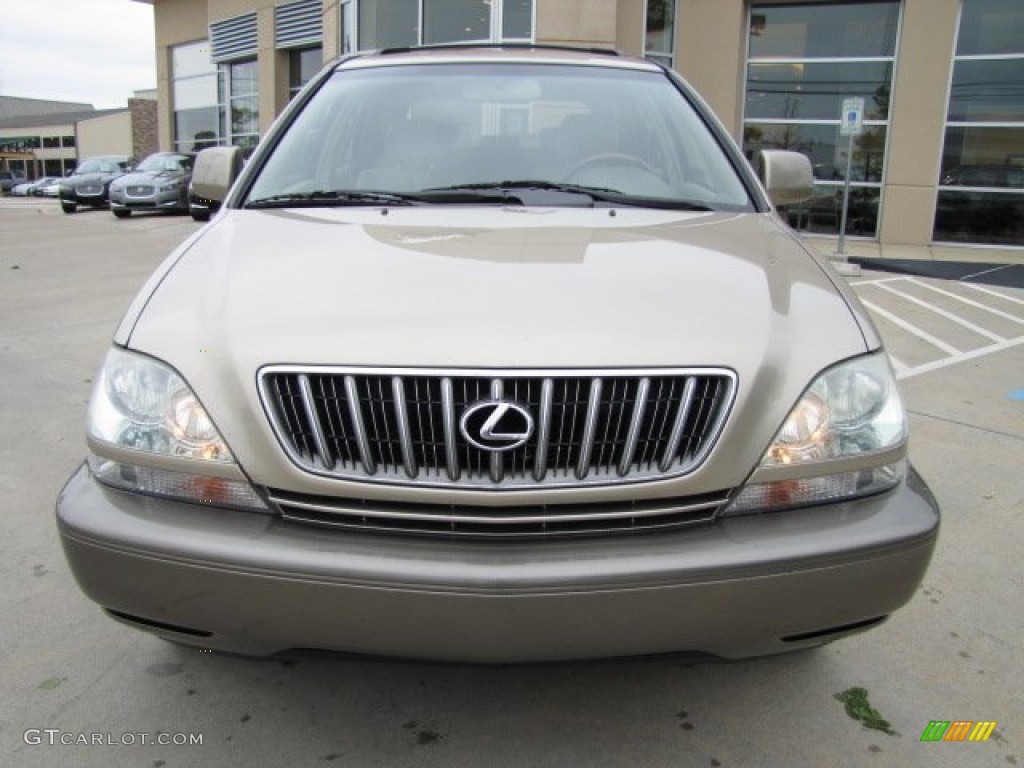 2003 RX 300 - Burnished Gold Metallic / Ivory photo #6
